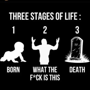 Three stages of life.jpg