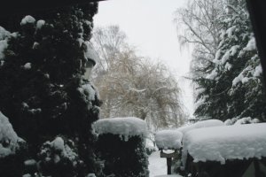 Schnee.jpg