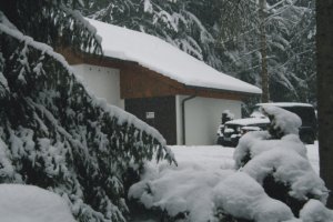 Schnee3.jpg